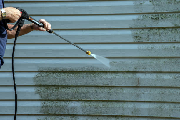 Trusted Cecilia, LA Pressure Washing Experts